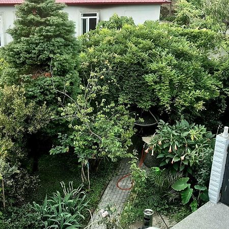Tj Guest House Makhinjauri Εξωτερικό φωτογραφία